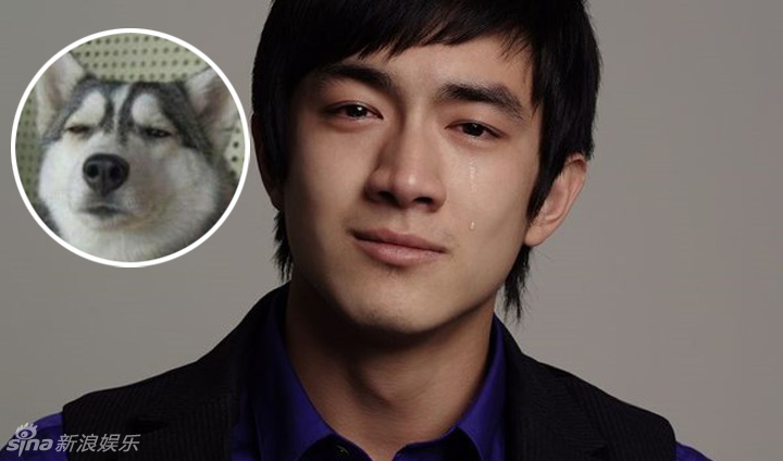 不小心就撞臉了！盤點(diǎn)動(dòng)物界的明星相