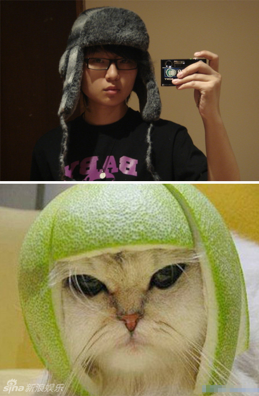 不小心就撞臉了！盤點(diǎn)動(dòng)物界的明星相