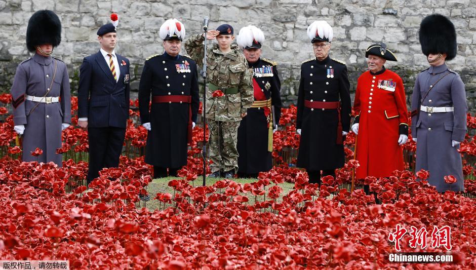 當(dāng)?shù)貢r間2014年11月10日，英國倫敦，倫敦塔周邊“種植”了888246朵陶瓷材質(zhì)的罌粟花，以此紀(jì)