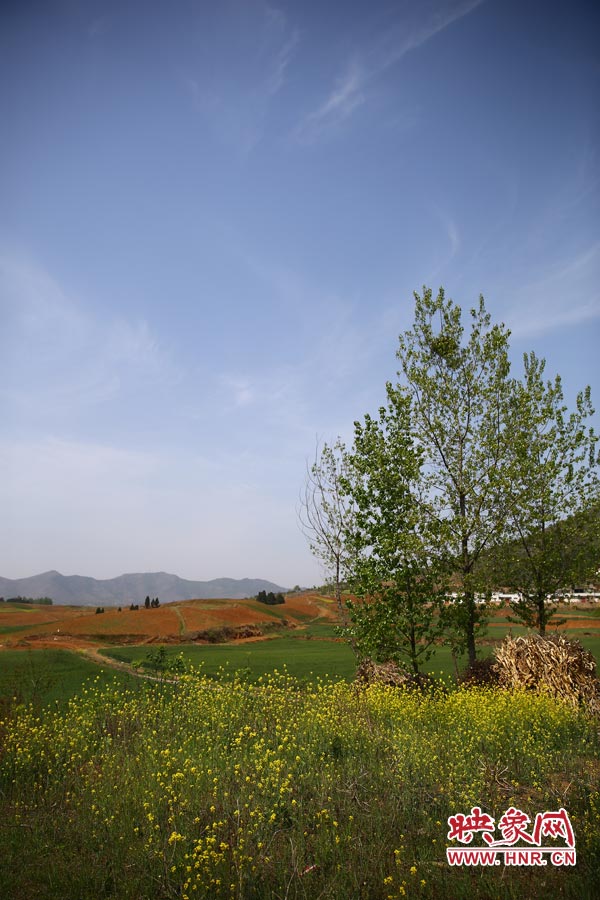 庫區(qū)的藍天、白云、綠樹、黃花給人清新的享受