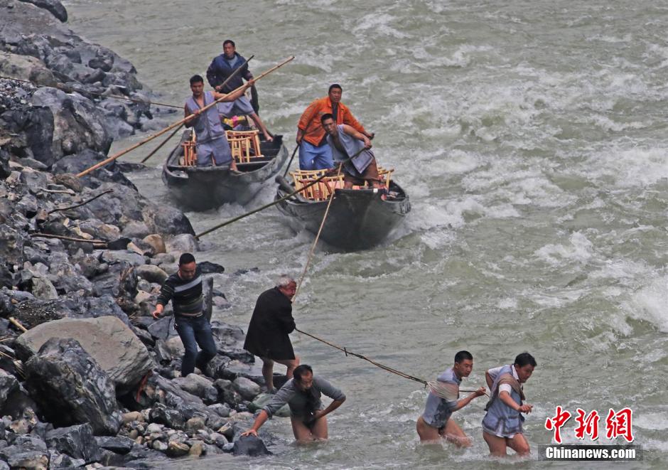 纖夫在神農(nóng)溪畔牽引木船溯溪而上。
