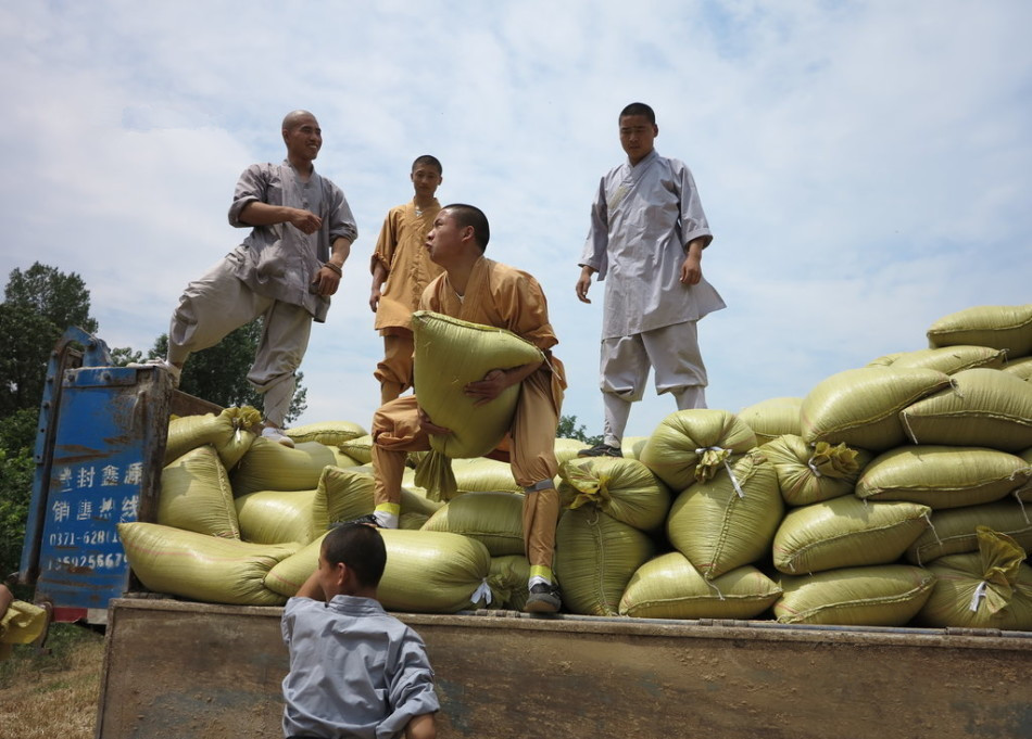 武僧將打包后的糧食集中至運(yùn)輸車輛上。