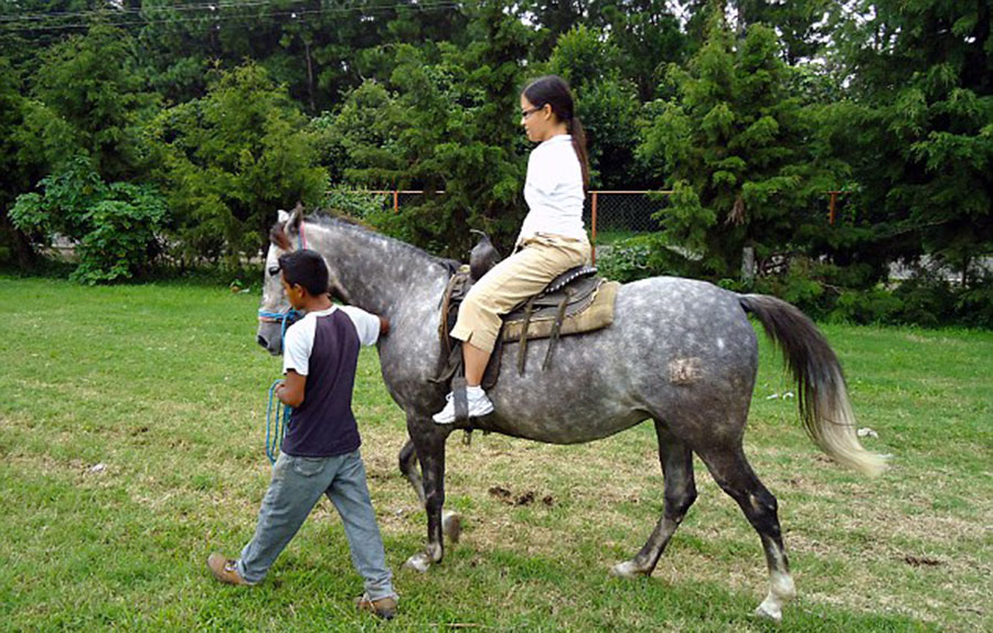 美國“勵(lì)志姐”天生無雙臂 用腳開飛機(jī)彈鋼琴