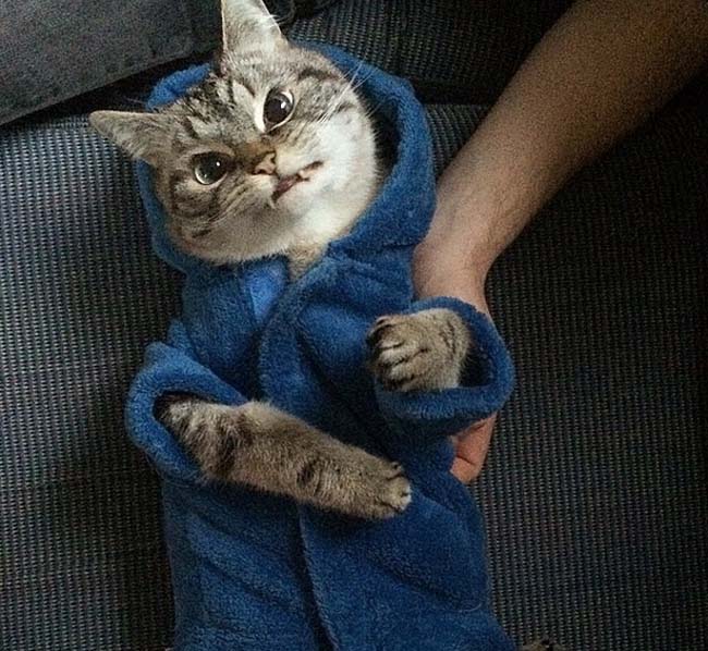 身穿浴袍的Loki好像看起來也沒那么兇哦。