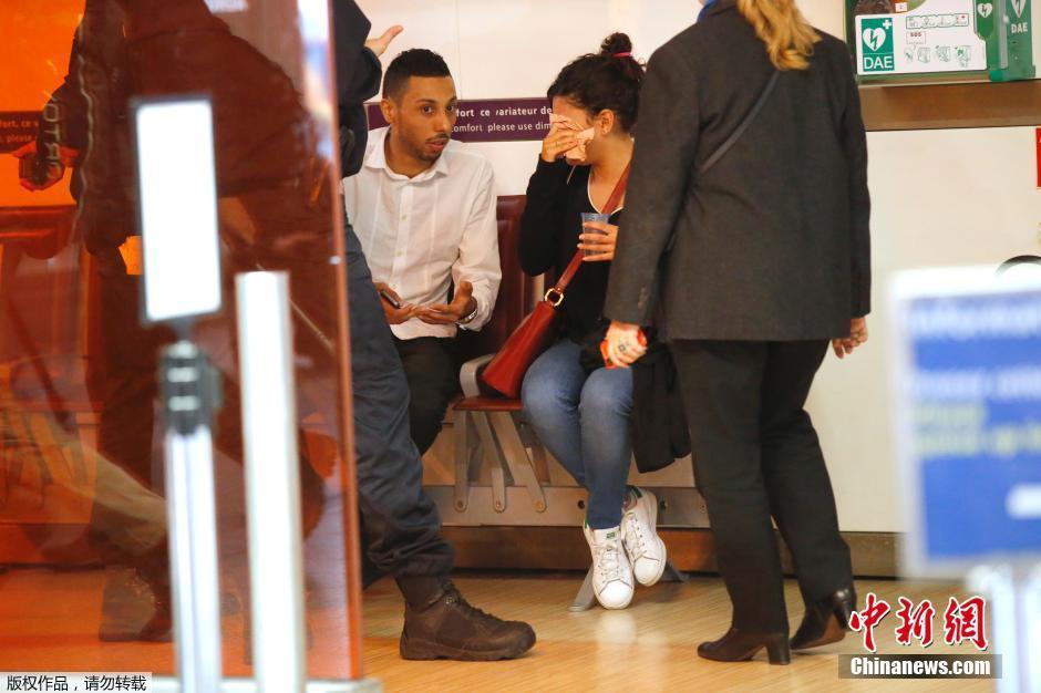 載66人埃航失聯(lián)客機(jī)墜毀 同線航班當(dāng)晚照常起飛