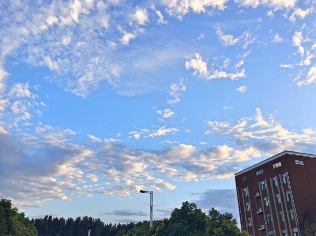 又被鄭州的藍(lán)天刷屏！隨便一拍就是手機(jī)壁紙