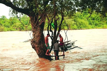 蓋屋、種菜，“從沒這樣快樂”