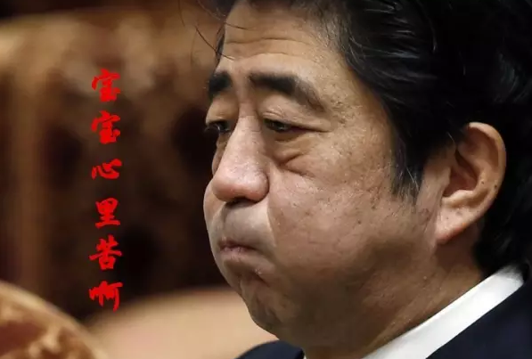 這種看安倍“熱鬧”的事兒，環(huán)環(huán)絕不私藏，一定雨露均沾!