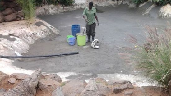 穆克的養(yǎng)殖場，鱷視眈眈下的工作人員。