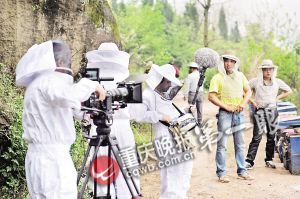 3個(gè)法國(guó)攝影師穿著防蜂服進(jìn)行全程跟拍