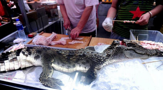 沈陽現“烤鱷魚肉”20元一串現烤現賣(圖)