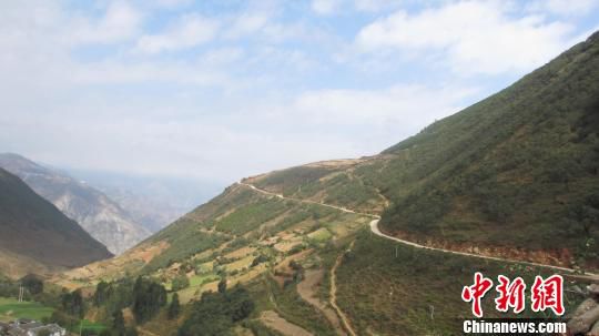 昆明男子葬母歸來(lái)駕車(chē)致四人死亡 一審獲刑4年(圖)