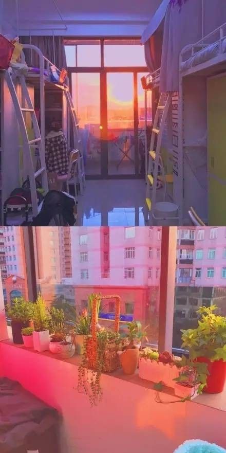 這個學校的男生宿舍火了！女同學都喊著要嫁