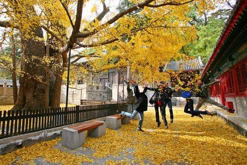 遠離低頭族 教你適當使用手機