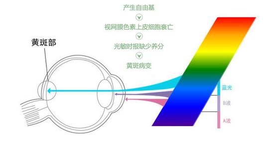 真能亮瞎眼？如何減少手機(jī)對(duì)眼睛的傷害