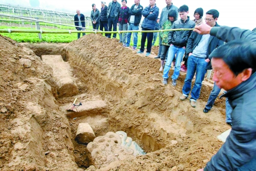 碑帽、赑屃、碑座、碑身依次排開