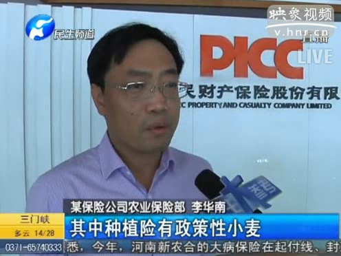 冰雹惹禍 損失能索賠嗎？