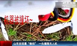 山羊發(fā)現遭“偷拍” 一頭撞落無人機