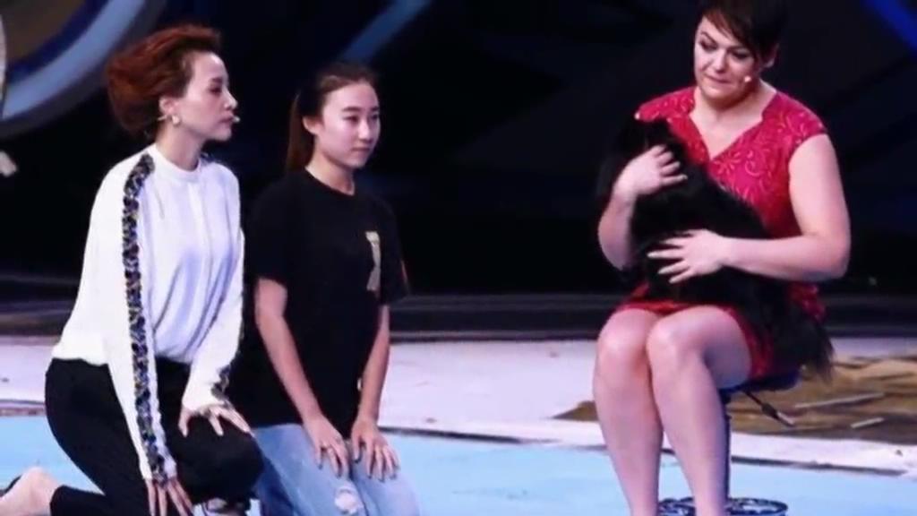 又當(dāng)托？ 董卿節(jié)目現(xiàn)場當(dāng)眾對狗下跪稱被催眠