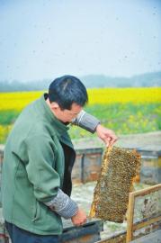 低價蜂蜜 低價蜂蜜